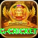 1st inning betting cricket VIP Edition v2.7.9