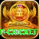 2022 world cup cricket Gold Pro v1.4.3