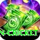 afghanistan cricket Deluxe Edition v4.5.8
