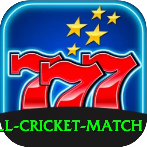 all cricket match Deluxe Edition v2.6.5 - 2