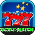 all cricket match Deluxe Edition v2.6.5