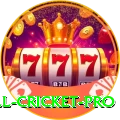 all cricket - Slots Turbo