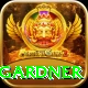 ashleigh gardner Gold Edition v4.5.8