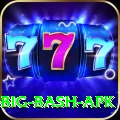 bbl big bash apk Apps (Tools & Injectors) Max v1.7.8