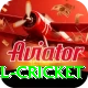 bbl cricket Pro v1.6.2