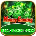big bash - VIP Mega