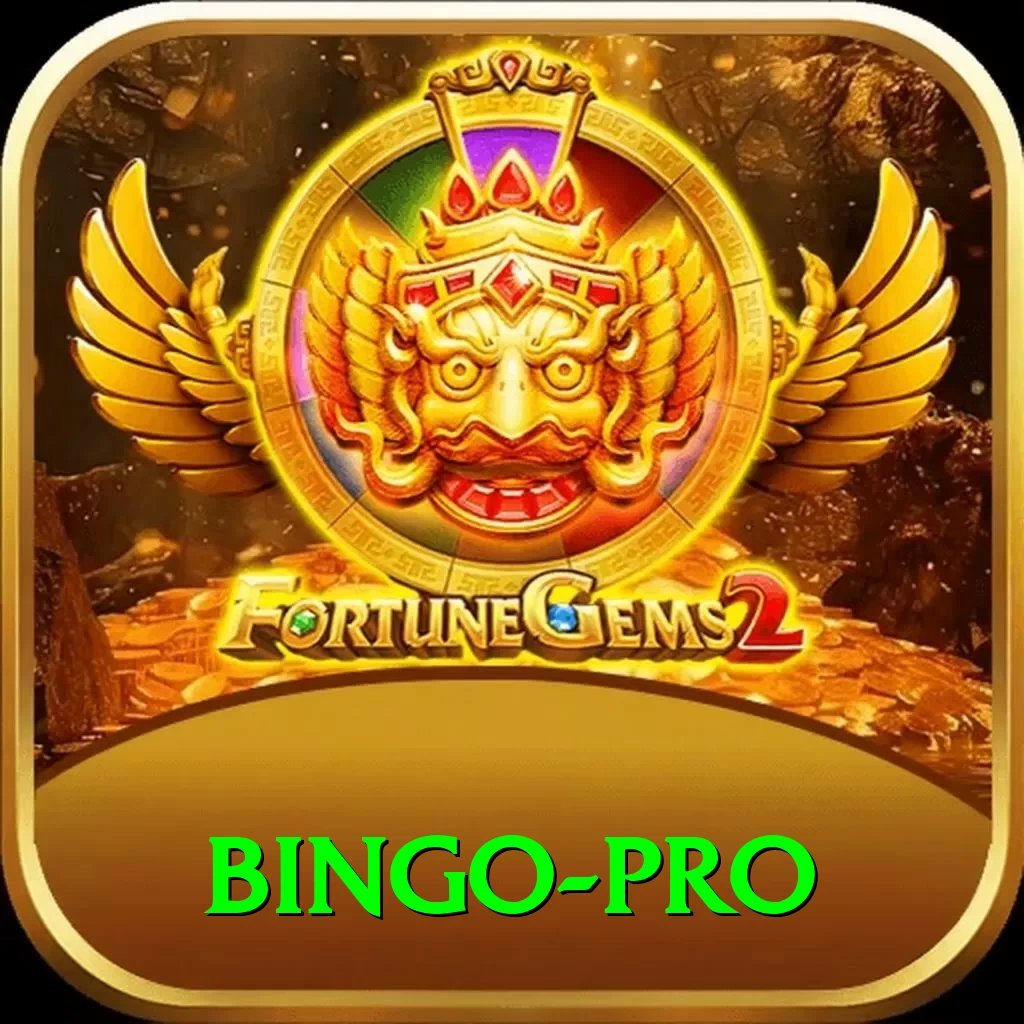 bingo Max v2.4.5 - 2