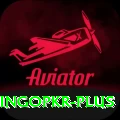 bingopkr Deluxe Pro v1.7.9
