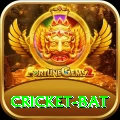 cricket bat VIP Pro v3.2.8