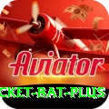 cricket bat Max - Win Real PKR
