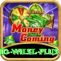 david wiese Premium Casino App