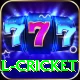 defending total cricket Apps (Tools & Injectors) Pro v3.3.9