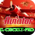 eng cricket Jackpot Max v1.0.9