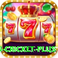 fastest ball in cricket Slot Machine Premium