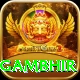 gautam gambhir VIP v2.2.8