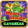 gavaskar Pro Edition v2.5.8