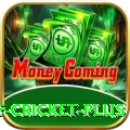 god of cricket - Slots VIP