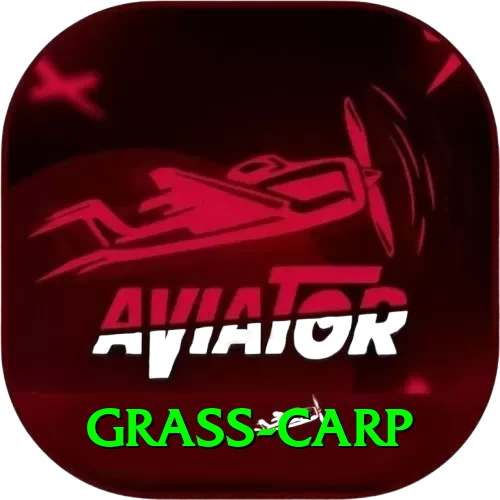 grass carp Premium Plus v2.2.0 - 2