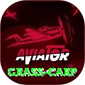 grass carp Premium Plus v2.2.0