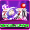 helambu rhododendron Games (Casino & Earning) Master v5.4.5