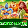 india cricket match VIP Pro v1.5.3