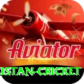 india pakistan cricket Premium Edition v2.6.0