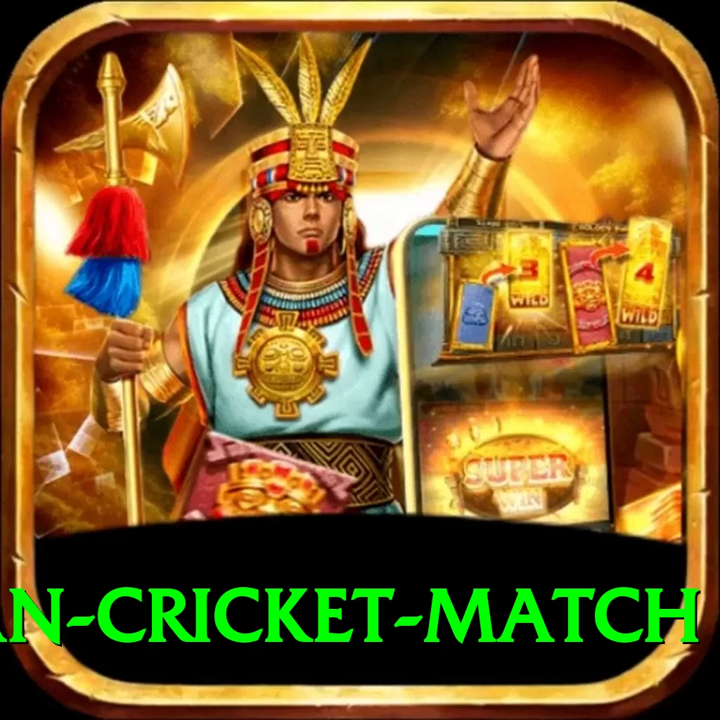 india pakistan cricket match Pro Edition v4.8.8 - 2