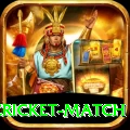 india pakistan cricket match Pro Edition v4.8.8