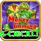 india sri lanka cricket Elite v2.2.9