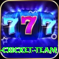 ireland cricket team Apps (Tools & Injectors) Premium v4.3.2