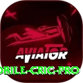mobile cric Earn Master v4.1.5