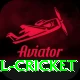 most runs in international cricket Master v3.2.5