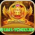naseem shah yorkers Deluxe Pro v5.5.1