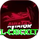 nepal cricket Ultimate v5.2.5