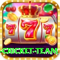 netherlands cricket team Premium Plus v2.8.3