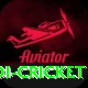 odi cricket Gold v5.9.8