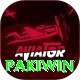 Pakiwin Plus vv4.0.9