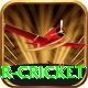 r cricket