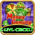 smartcric live cricket Games (Casino & Earning) Deluxe v5.2.7