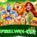 spribewin Pro Edition v2.0.1