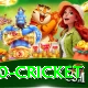 t20 cricket Apps (Tools & Injectors) Premium v5.8.4