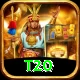 t20 Plus Pro v3.6.4