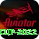 t20 world cup 2022 Master v1.2.0