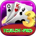 tgslot Pro v1.3.3