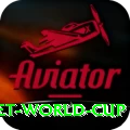 u19 cricket world cup Master v2.7.5