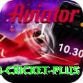 virat kohli cricket Royal Slots