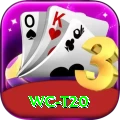 wc t20 Max v5.4.2
