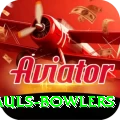 wicket hauls bowlers Deluxe v2.1.9