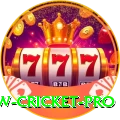 willow cricket Deluxe - Win Real PKR