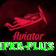 winpkr VIP Edition v5.2.5